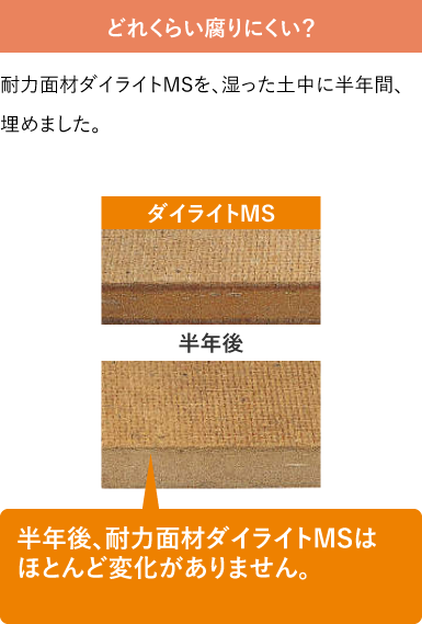 ダイライトMSの腐りにくさのテスト